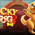 TIPS JACKPOT MAIN DI LUCKY DOG