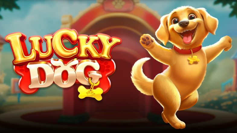 TIPS JACKPOT MAIN DI LUCKY DOG